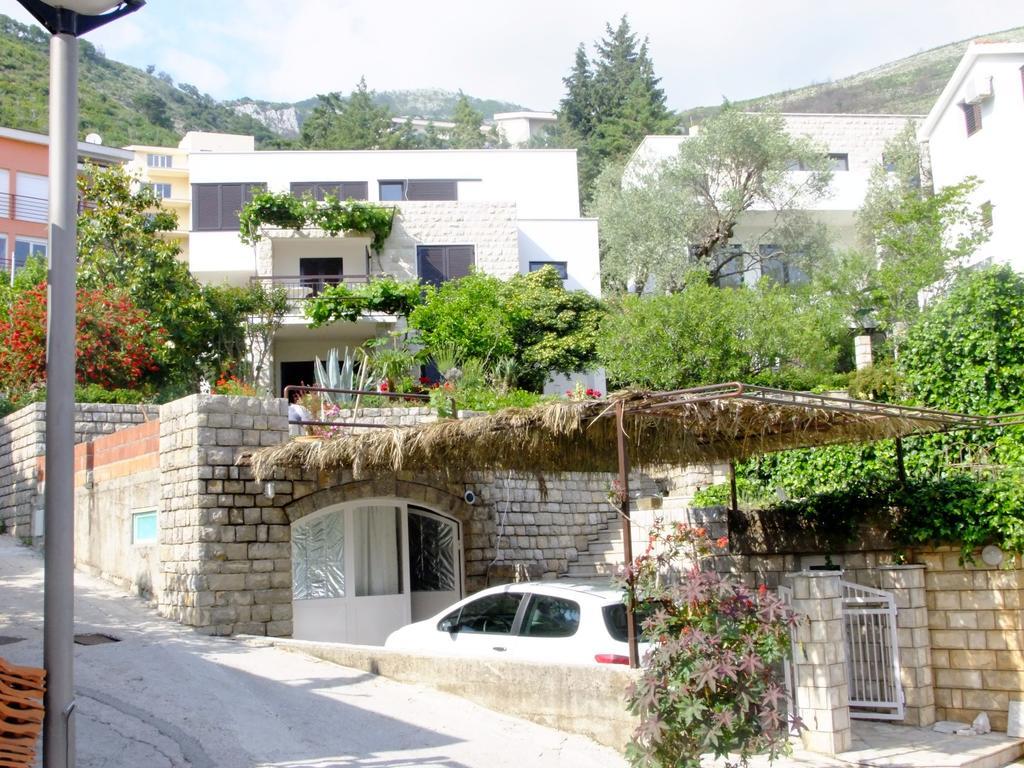 Apartments Minja Nerin Petrovac Bagian luar foto