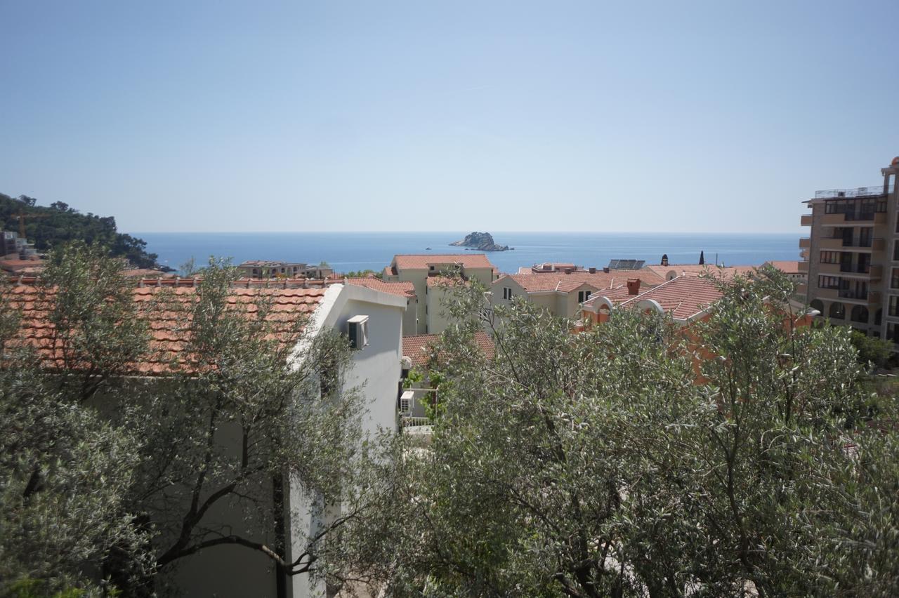 Apartments Minja Nerin Petrovac Bagian luar foto